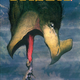 Illustration for article titled Steve Bissette